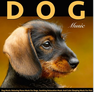 dog music soothing music for dogs