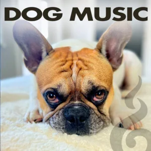 DOG MUSIC Calm Music For Dogs, Sleeping Music For Dogs and  The Best Pet Relaxation Music playlist artwork