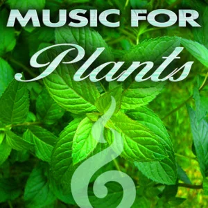 PLANT MUSIC for Plants Ambient Gardening Music for Healthy Plants and Calm Relaxation Music playlist artwork