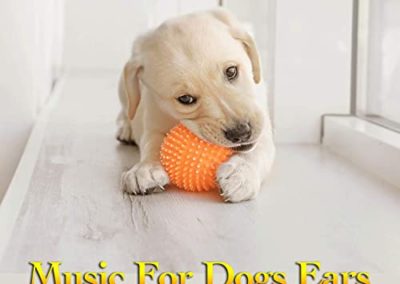 Lullabies for Dogs to Sleep to! Calm Your Dog and Help them Have a Sound  Sleep with this Music! 