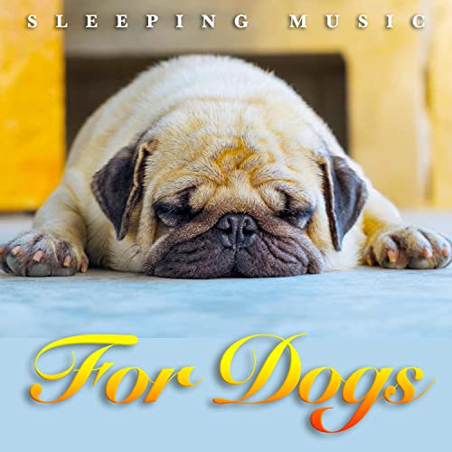 Sleeping Music For Dogs: Ambient Binaural Beats, Calm Music For Dogs Ears and Soothing Dog Music