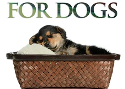 Sleeping Music For Dogs, Music For Pets and Relaxing Dog Music