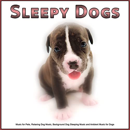 Sleepy Dogs: Music for Pets, Relaxing Dog Music, Background Dog Sleeping Music and Ambient Music for Dogs