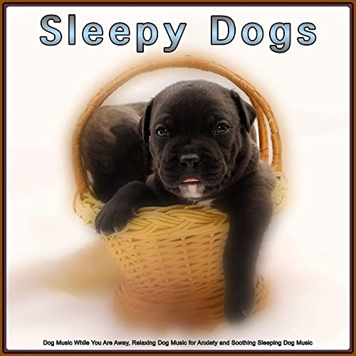 Sleepy Dogs: Dog Music While You Are Away, Relaxing Dog Music for Anxiety and Soothing Sleeping Dog Music