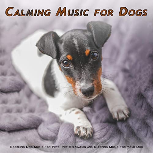 Calming Music For Dogs: Soothing Dog Music For Pets, Pet Relaxation and Sleeping Music For Your Dog