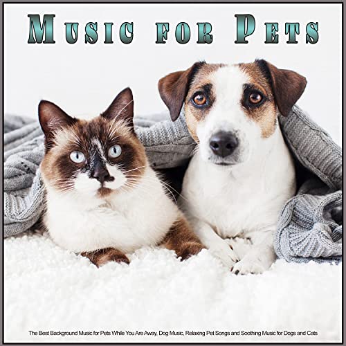 Music for Pets: The Best Background Music for Pets While You Are Away, Dog Music, Relaxing Pet Songs and Soothing Music for Dogs and Cats