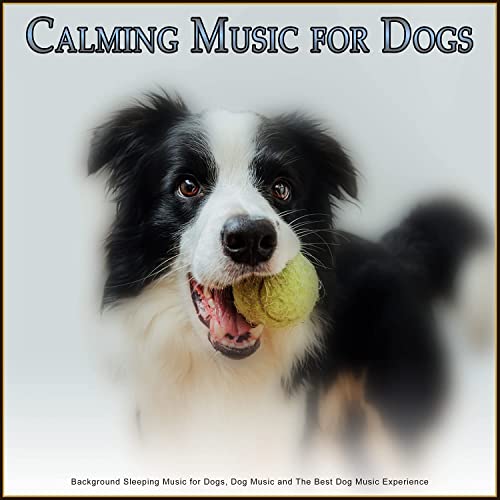 Calming Music for Dogs: Background Sleeping Music for Dogs, Dog Music and The Best Dog Music Experience