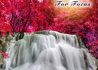 Studying Music For Focus: Relaxing Piano and Nature Sounds For Studying, Calm Study Aid, Music For Reading, Focus, Concentration and The Best Studying Music For Tests