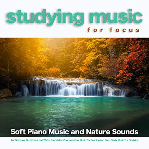 Studying Music For Focus: Soft Piano Music and Nature Sounds For Studying, Bird, Forest and Water Sounds For Concentration, Music For Reading and Calm Study Music For Studying