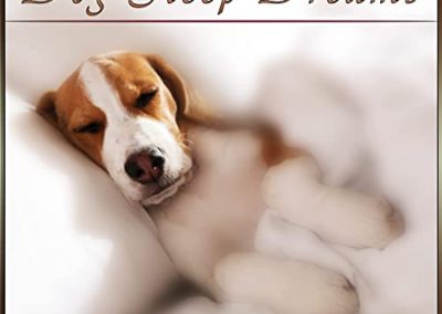 Dog Sleep Dreams: Background Music for Pets, Sleep Music for Dogs and Relaxing Dog Music