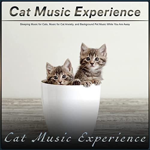 Cat Music Experience: Sleeping Music for Cats, Music for Cat Anxiety, and Background Pet Music While You Are Away