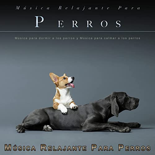Música Relajante Para Perros: Música para dormir a los perros y Música para calmar a los perros