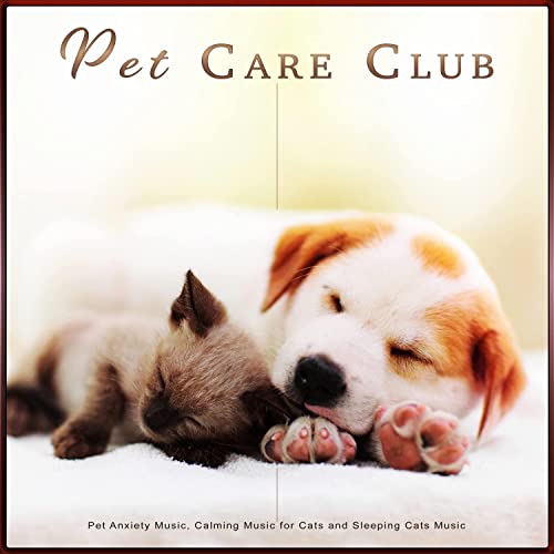 Pet Care Club: Pet Anxiety Music, Calming Music for Cats and Sleeping Cats Music