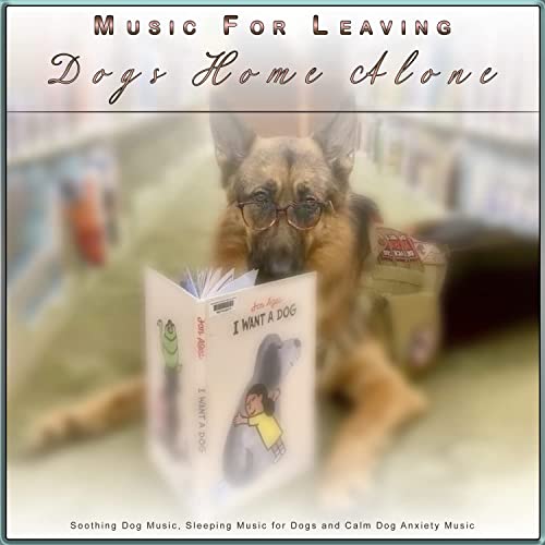 Music For Leaving Dogs Home Alone: Soothing Dog Music, Sleeping Music for Dogs and Calm Dog Anxiety Music