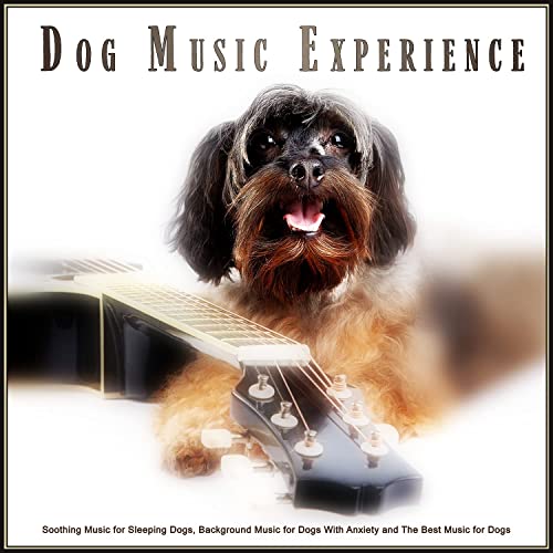 Dog Music Experience: Soothing Music for Sleeping Dogs, Background Music for Dogs With Anxiety and The Best Music for Dogs