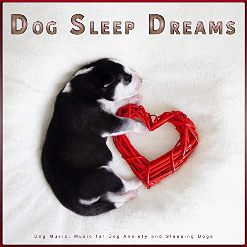 Dog Sleep Dreams: Dog Music, Music for Dog Anxiety and Sleeping Dogs