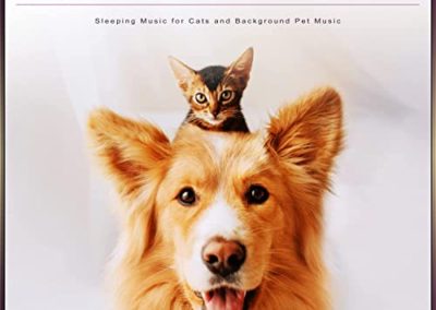 Pet Care Music Therapy: Sleeping Music for Cats and Background Pet Music
