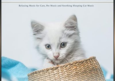 Cat Music Experience: Relaxing Music for Cats, Pet Music and Soothing Sleeping Cat Music