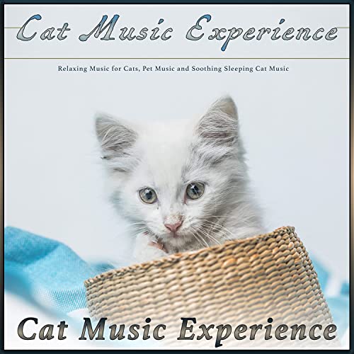 Cat Music Experience: Relaxing Music for Cats, Pet Music and Soothing Sleeping Cat Music