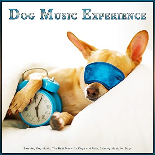 Dog Music Experience: Sleeping Dog Music, The Best Music for Dogs and Pets, Calming Music for Dogs