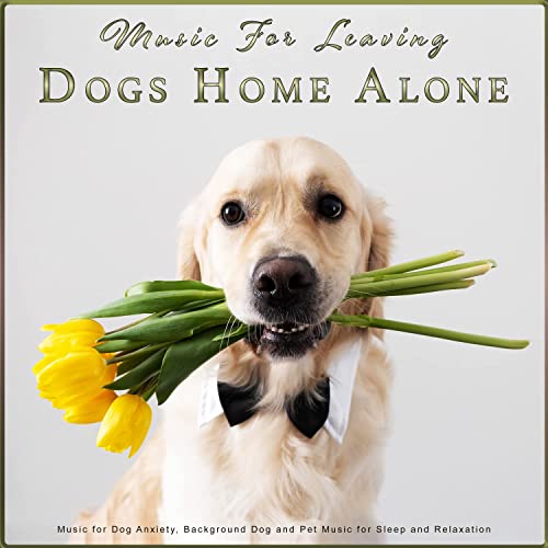 Music For Leaving Dogs Home Alone: Music for Dog Anxiety, Background Dog and Pet Music for Sleep and Relaxation