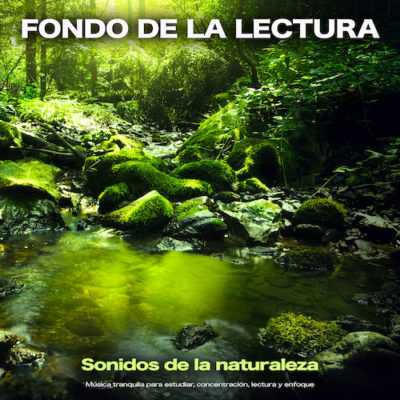 Fondo de la lectura – Sonidos de la naturaleza – Música tranquila para estudiar, concentración, lectura y enfoque